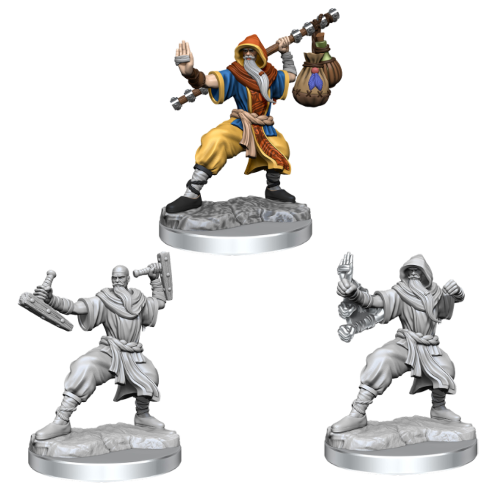 D&D Frameworks: W1 Male Human Monk, Table Top Miniatures